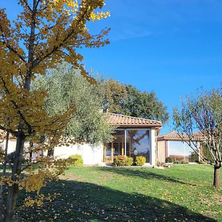 Le Clos Castel - Gite Equipe Casteljaloux Exteriör bild