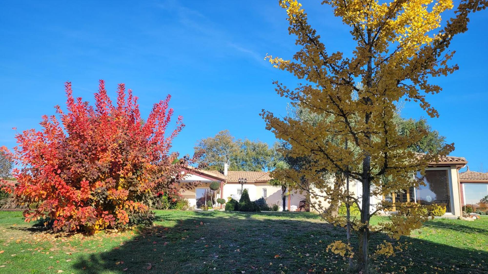 Le Clos Castel - Gite Equipe Casteljaloux Exteriör bild